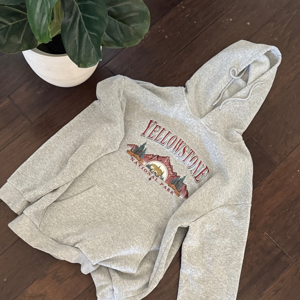 Yellowstone National Park Gray Graphic Hoodie